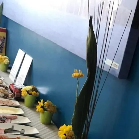 酒店 地中海布劳酒店 2*