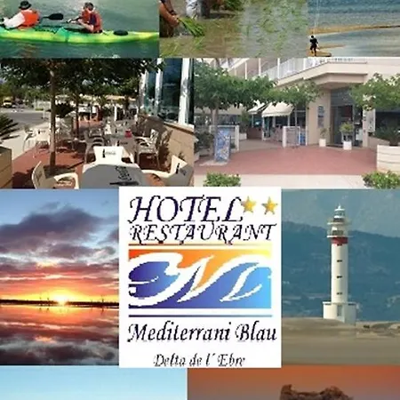 Mediterrani Blau L'Eucaliptus